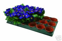 Potting On Tray